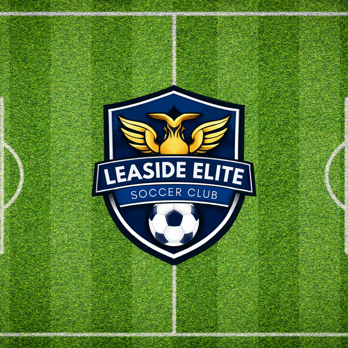 Leaside Elite Soccer Club